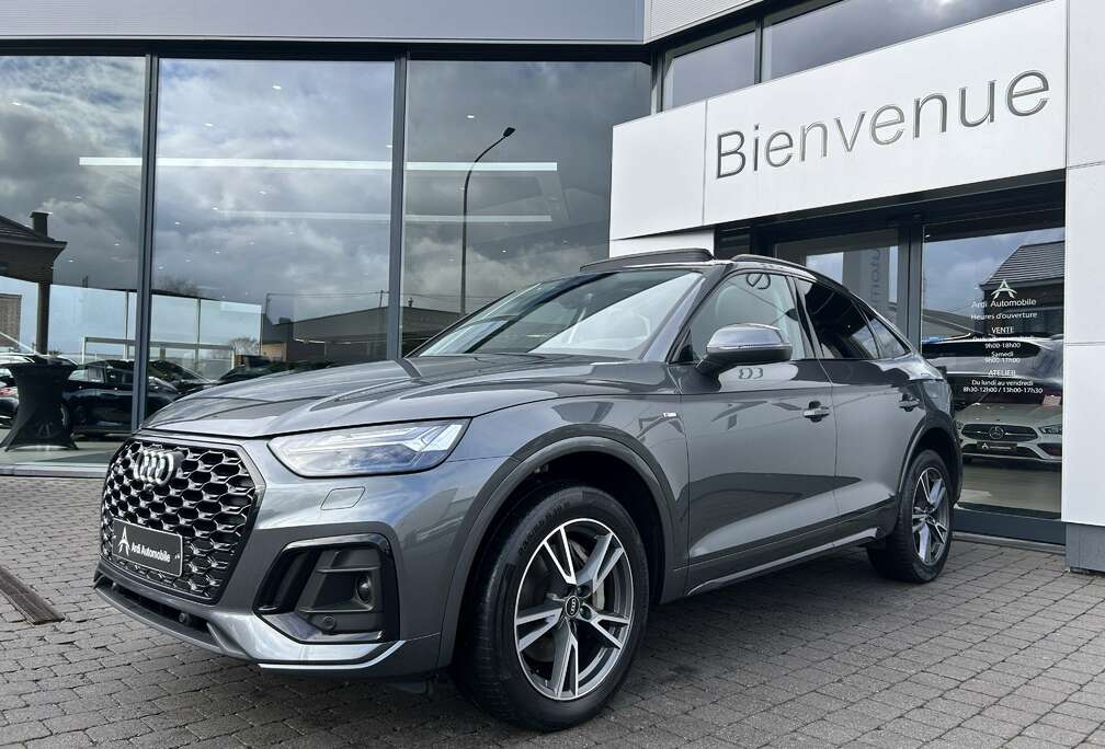 Audi PHEV 2.0 TFSIe Quattro S-Tronic S-LINE *GARANTIE*