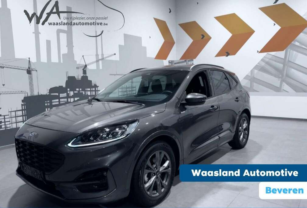 Ford FHEV - ST-Line X