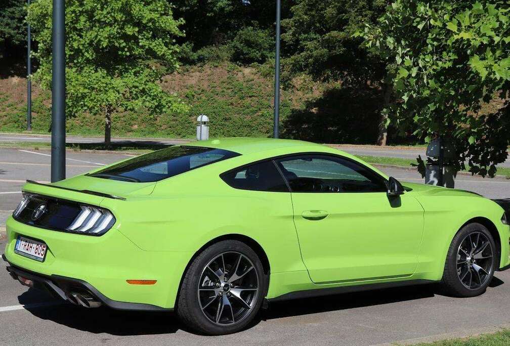 Ford Mustang 2.3 EcoBoost (EU6.2)