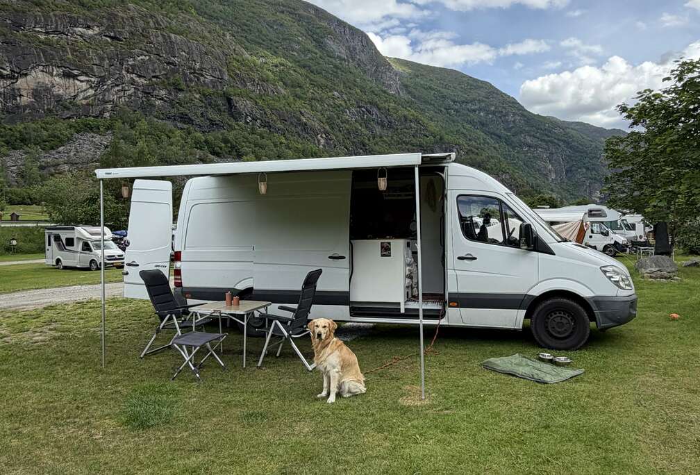 Mercedes-Benz 319 CDI 906.633 EEV