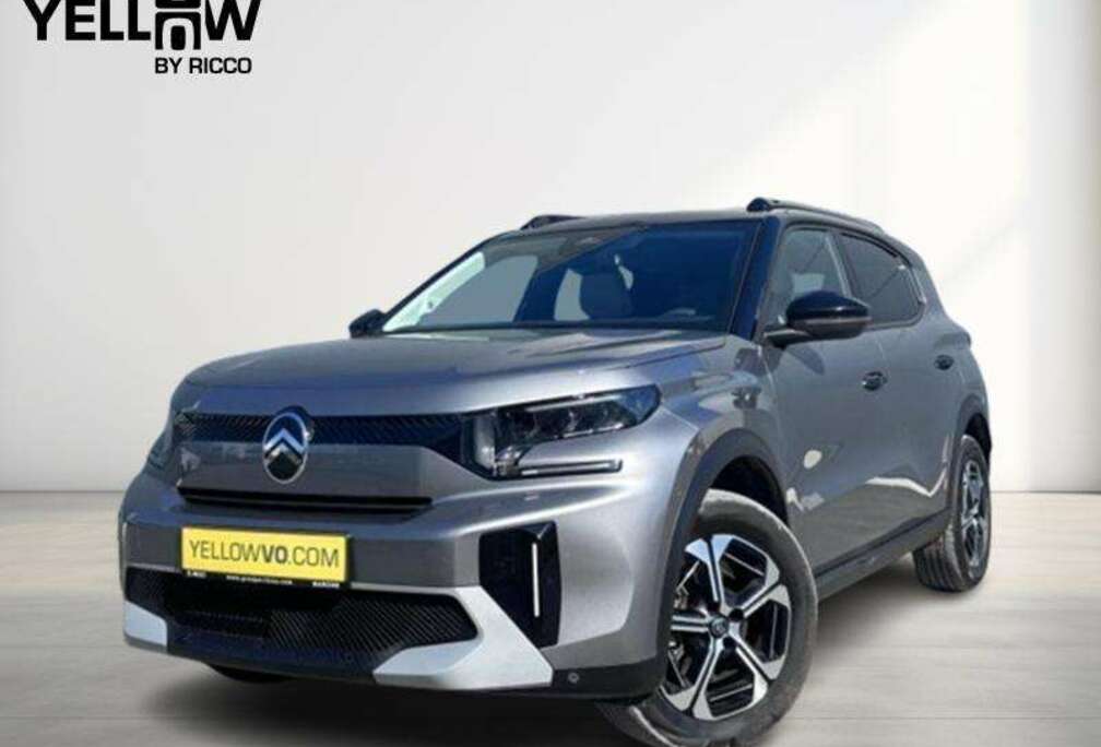 Citroen Max