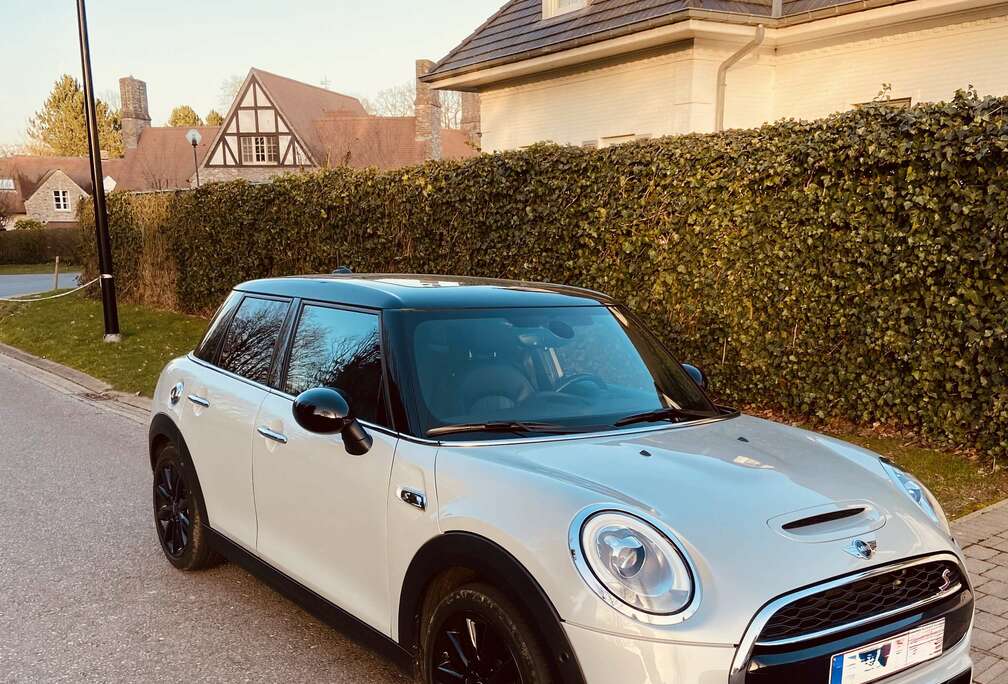 MINI 2.0 DAS S