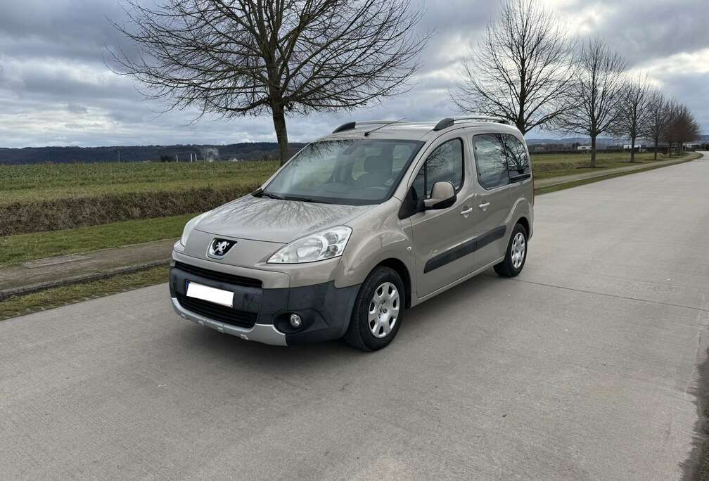 Peugeot Tepee