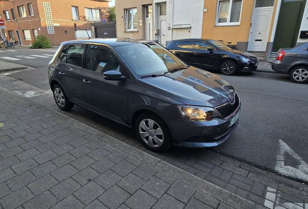 Skoda 1.0 MPI Joy