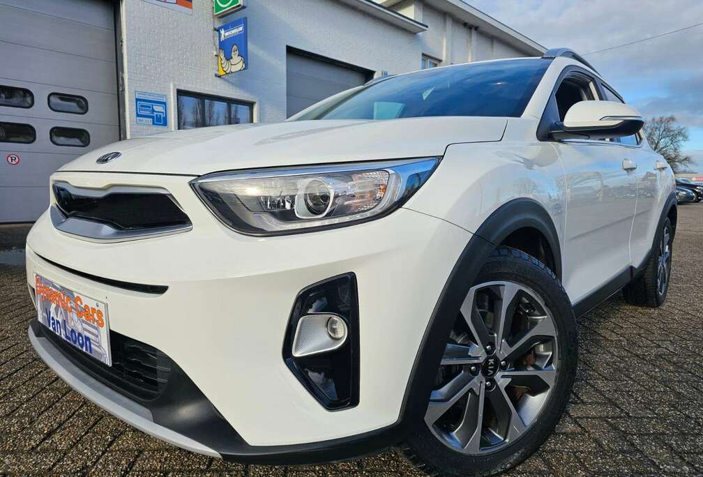 Kia 1.0 Edition 7, Carplay, LineA, VerwStoelen, Cruise