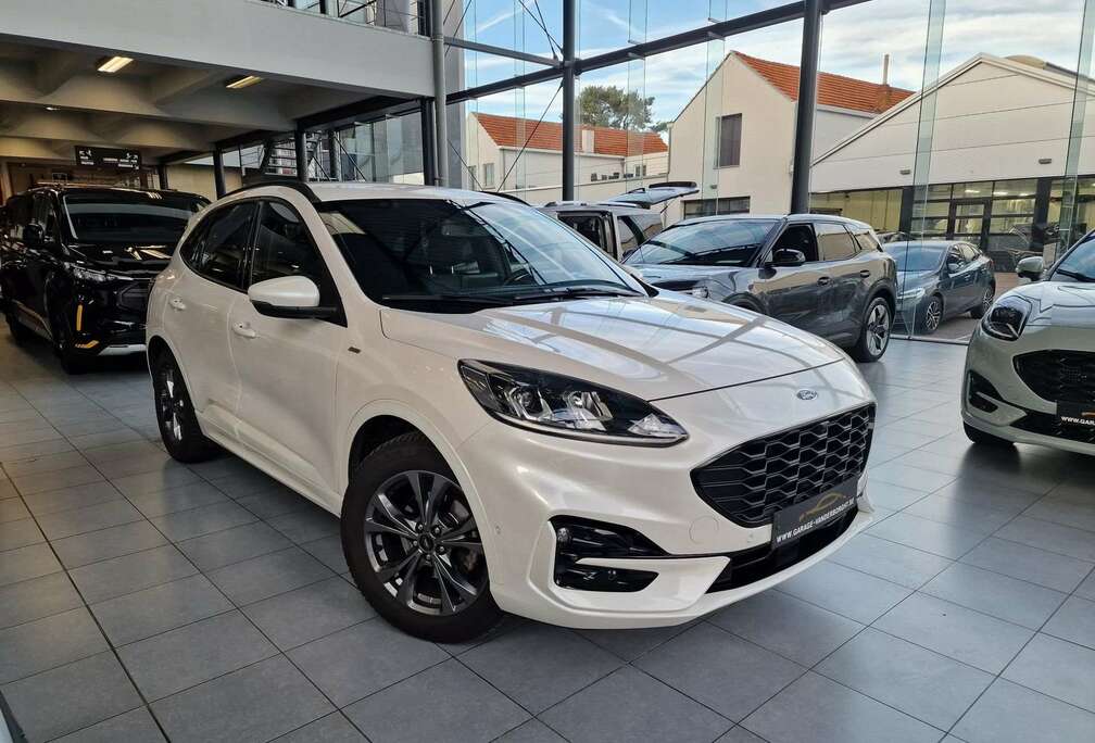 Ford ST-LINE BENZINE + TAL VAN OPTIES