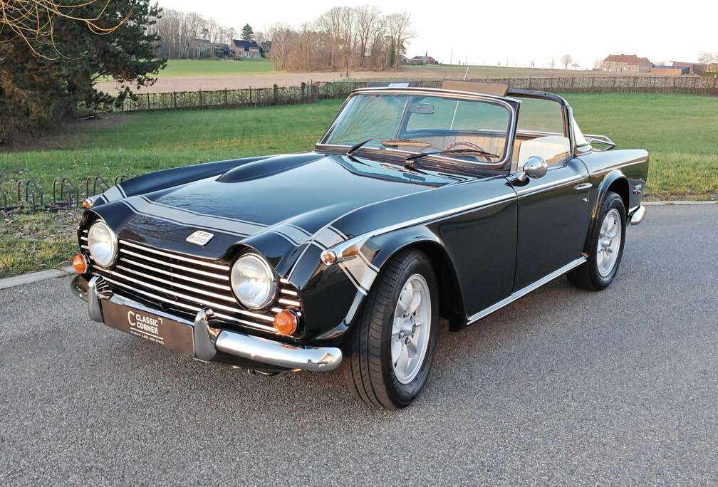 Triumph TR250