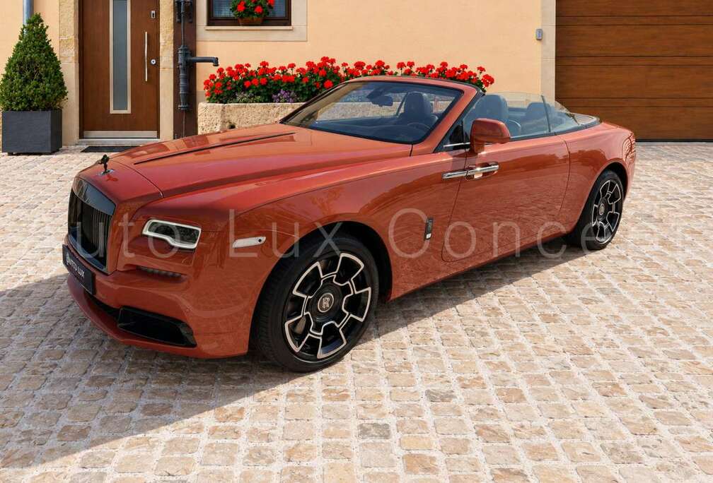 Rolls-Royce Black Badge/Crystal/Coachline/Bespoke/Lambswool