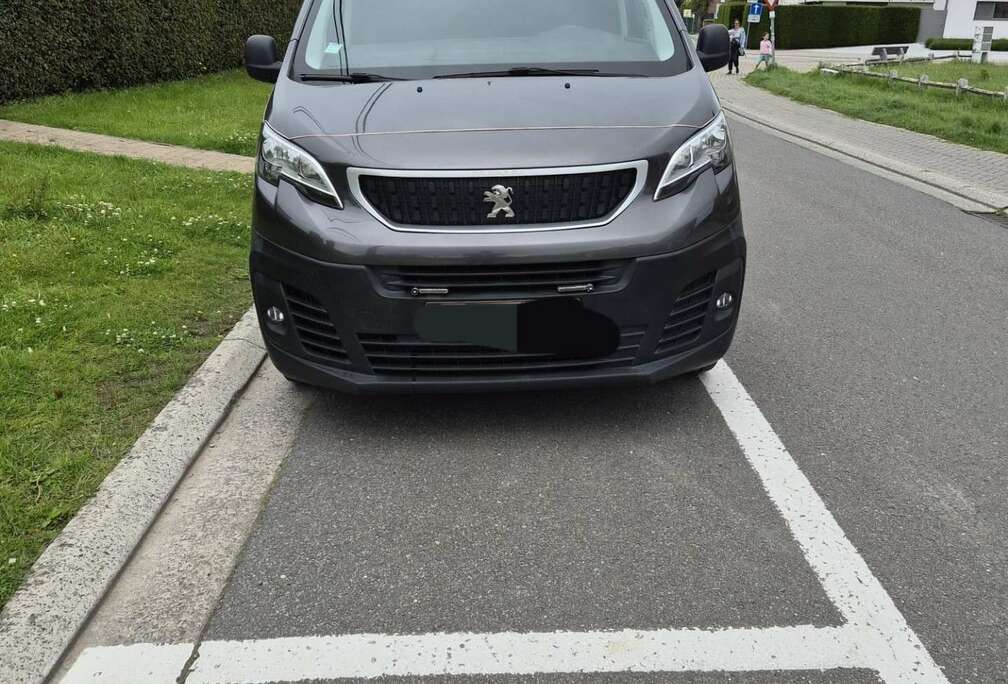 Peugeot 2.0 HDi 229 L2H2