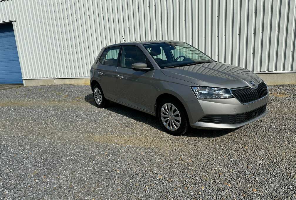 Skoda Fabia 1.0i benzine met garantie en Car-Pass