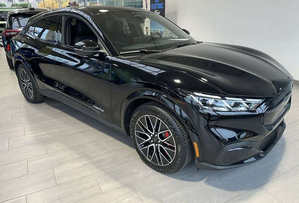 Ford 87 kWh Premium RWD