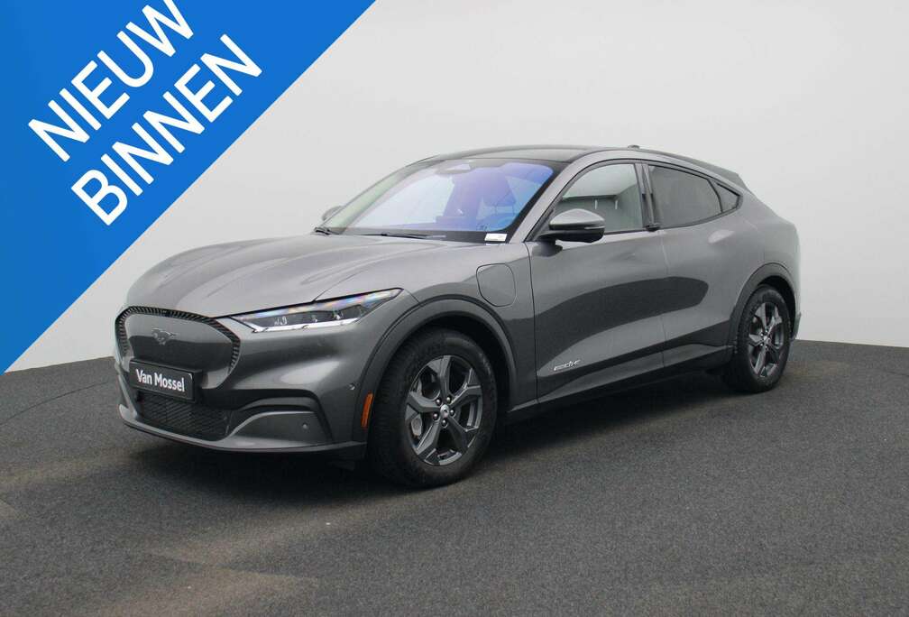 Ford 99KW PANO - 360 CAMERA - STUUR-ZETELVERWAMING - B&