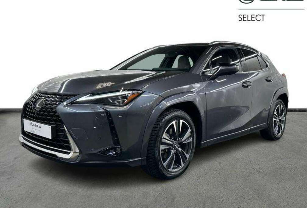 Lexus Privilege Line & Mark Levinson