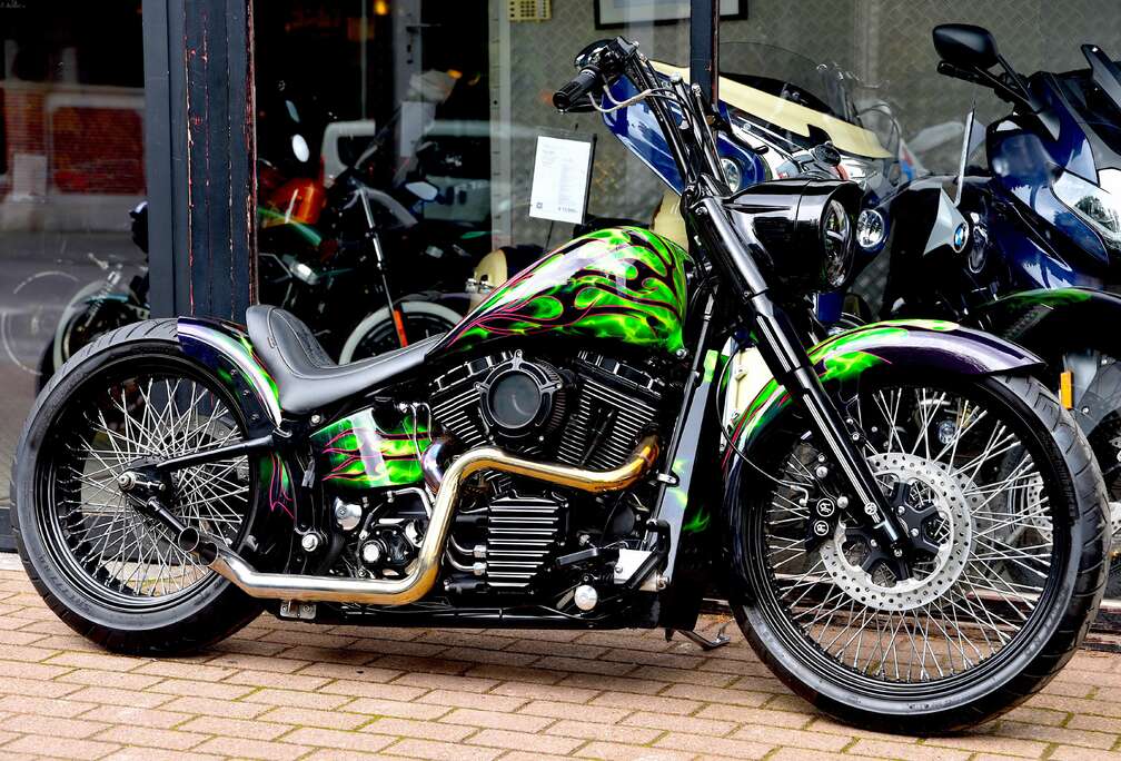 CUSTOM SHOW BIKE ***MOTO VERTE***