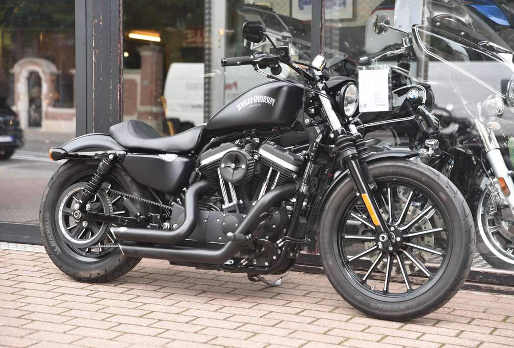 ***MOTO VERTE***