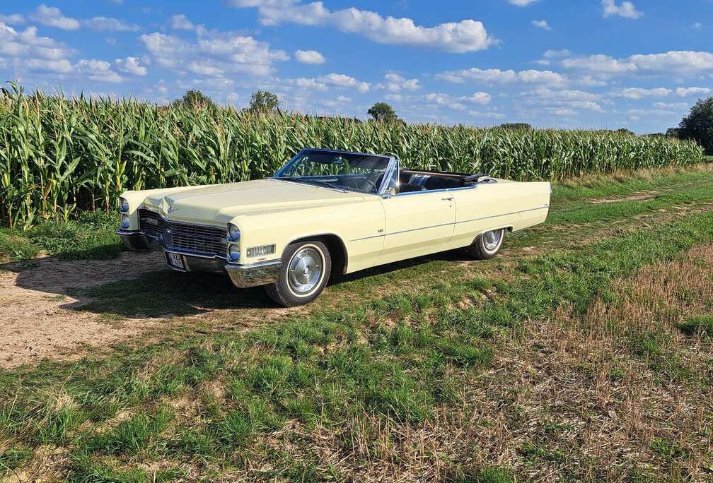 Cadillac Convertible