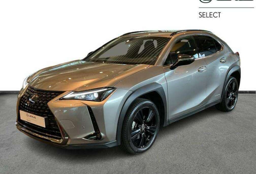 Lexus BLACK LINE