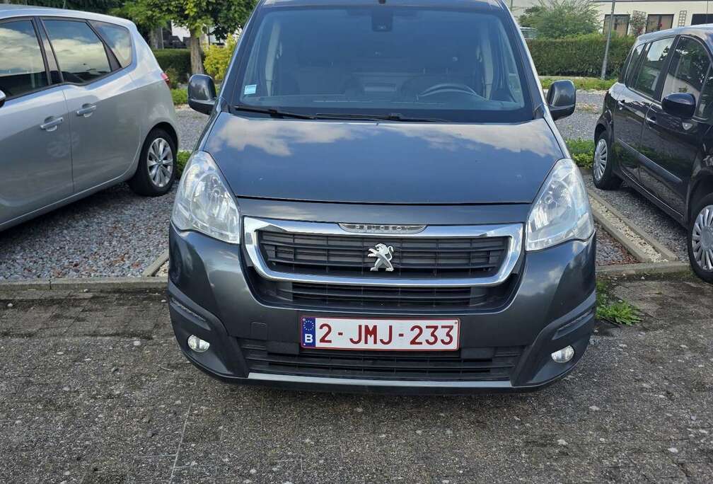 Peugeot 1.6 BlueHDi L2H1 Premium Pack 121 S/S