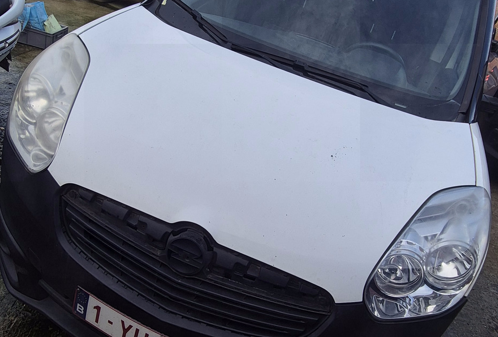 Opel 1.3 CDTi L1H1 (EU5)