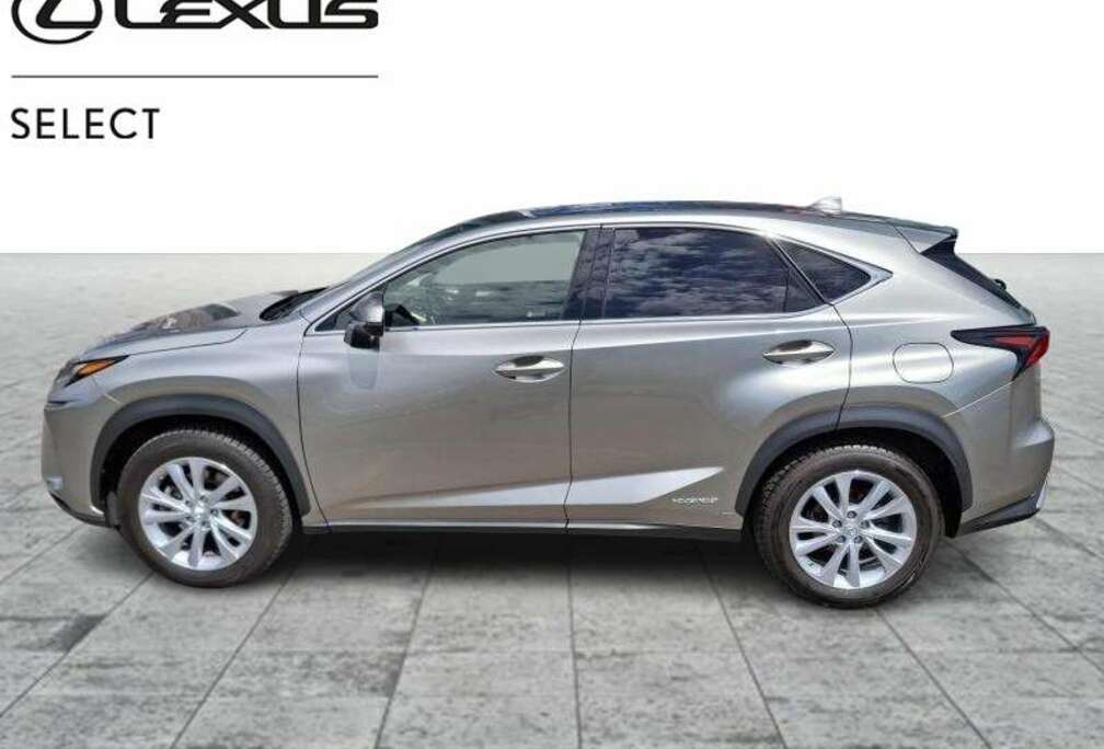 Lexus Executive