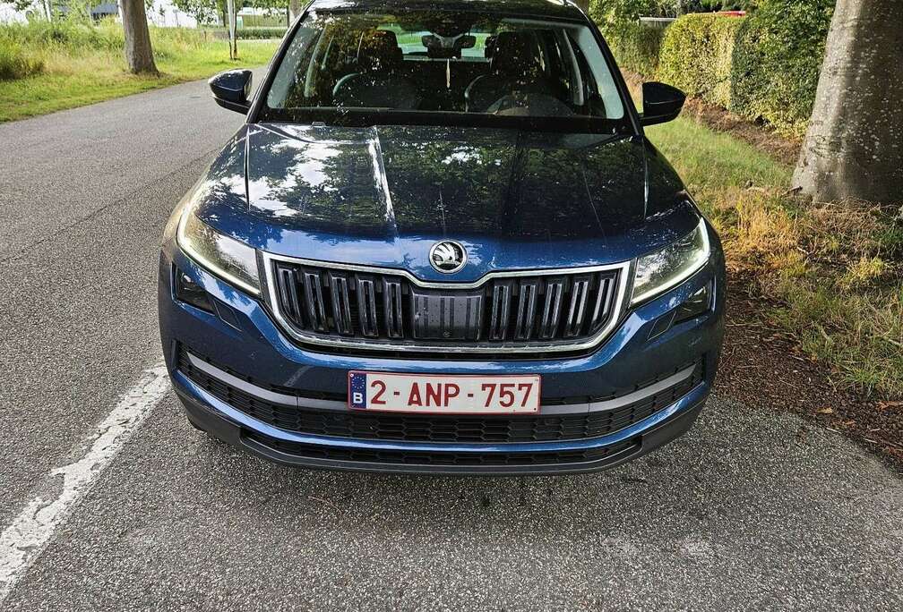 Skoda 2.0 TDI DSG Style