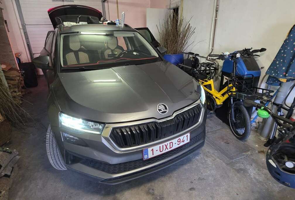 Skoda 2.0 CR TDi SCR Clever DSG