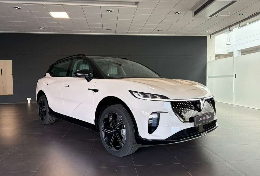 ELECTRIQUE FULL OPTIONS