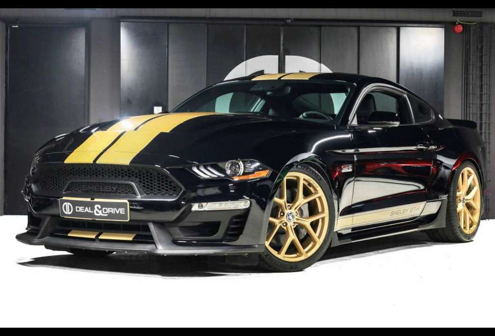 Ford SHELBY GT-H 5.0 V8FULL XPELACCKAM