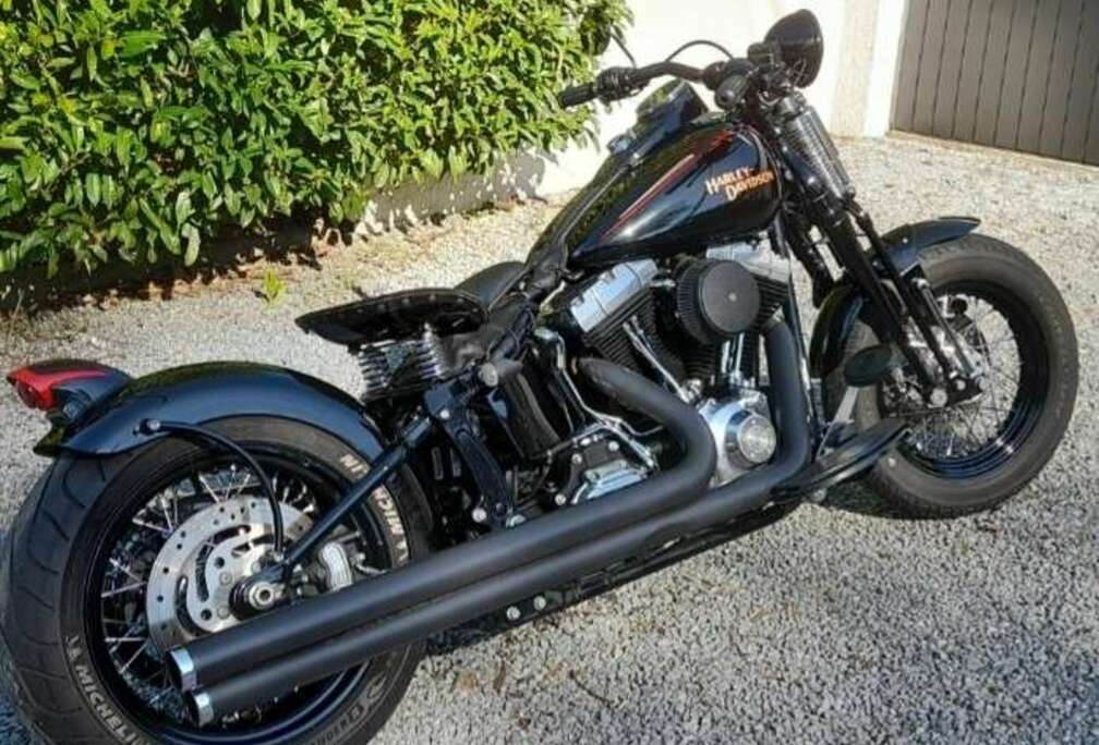 Harley Davidson Cross Bones
