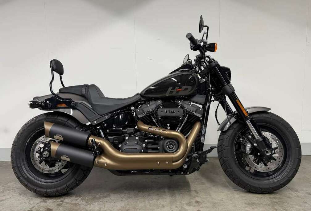 SOFTAIL FXFBS MET ELEKTRONISCH REGELBARE UITLAAT