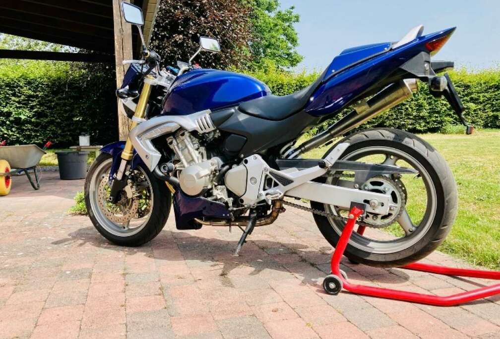 Honda Hornet