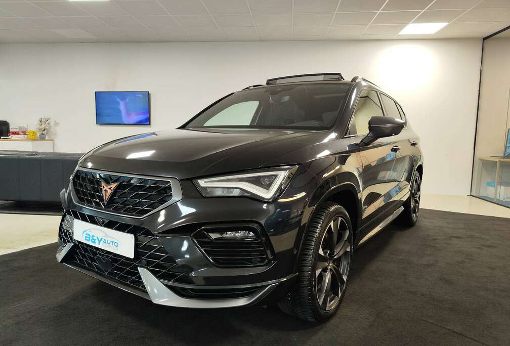 2.0 TSI 4Drive DSG ** Lichtevracht - Personenwagen **