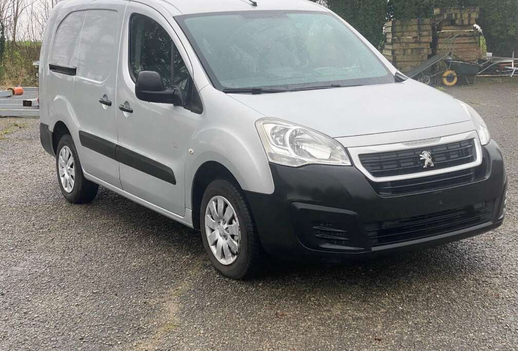 Peugeot Tepee 1.6 BlueHDi long châssis