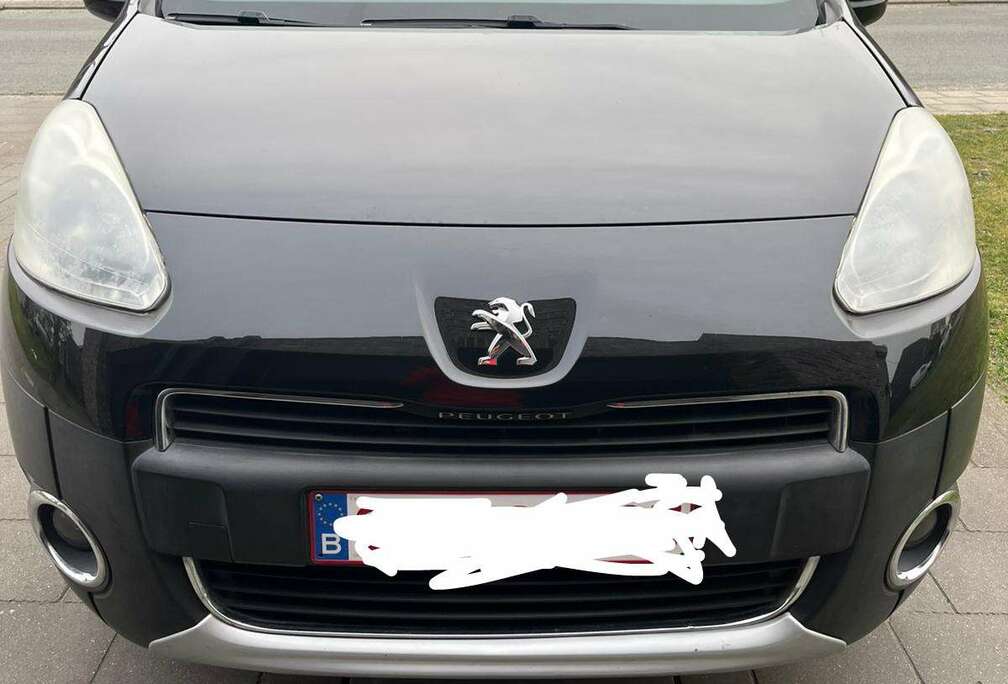 Peugeot Tepee 98 VTi Style