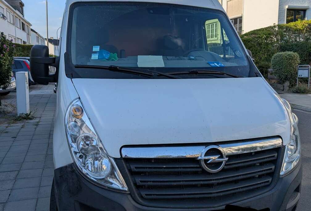 Opel 2.3 CDTi L2H2 Snoeks (E6) DPF