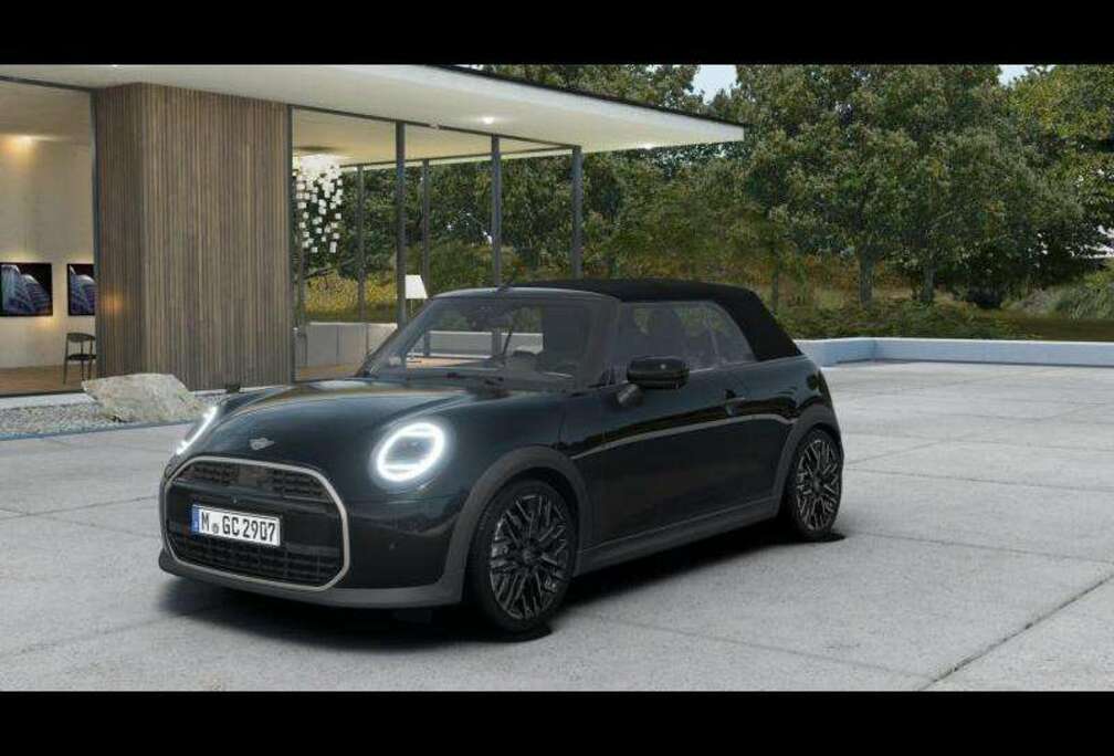 MINI Pack XL - Favoured Trim