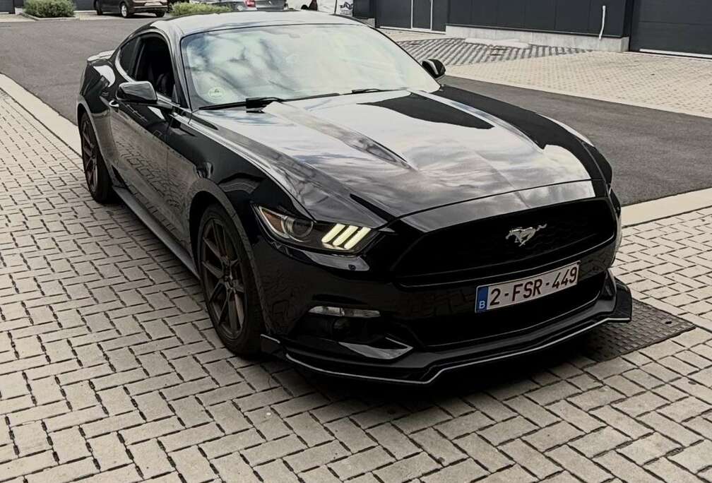 Ford 2.3 Eco Boost Aut.