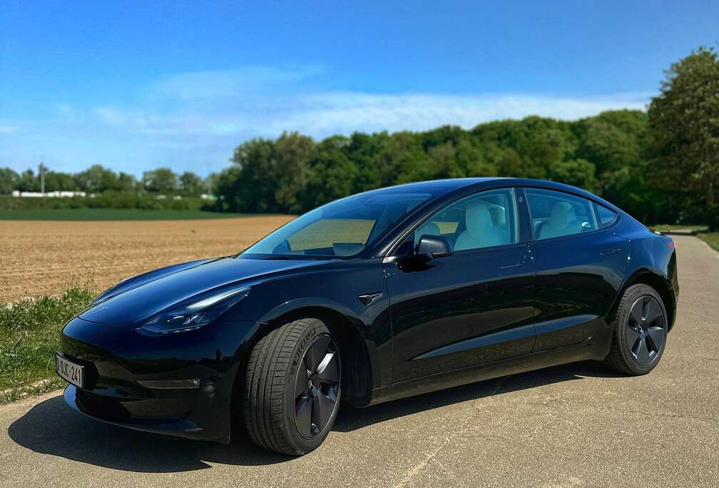 Tesla Langstreckenbatt. Allradantrieb Dual Motor