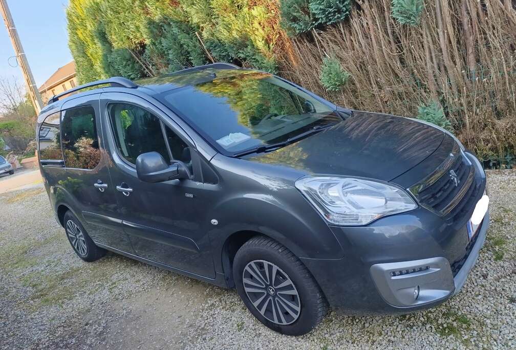 Peugeot Partner Tepee Outdoor 1.6 BlueHDi Outdoor S