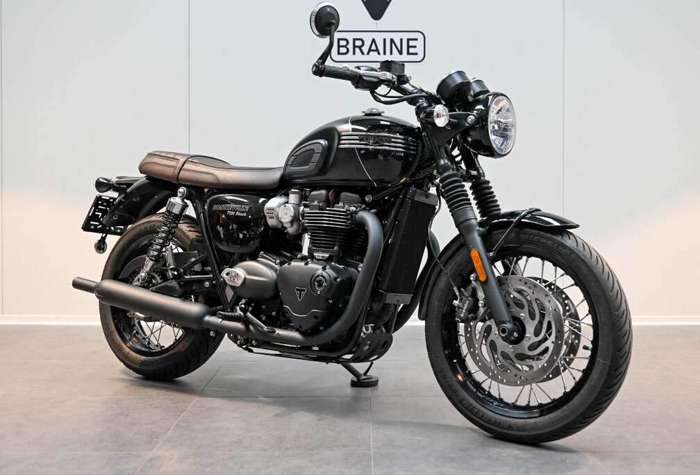 Triumph Black