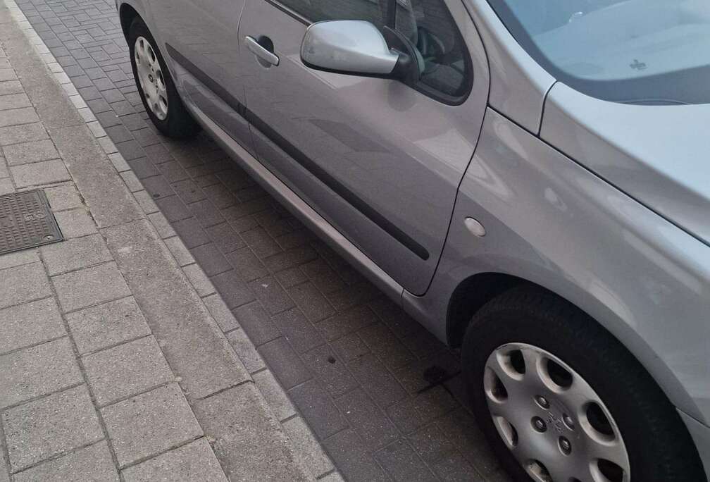 Peugeot 307 1.6i 16v XS