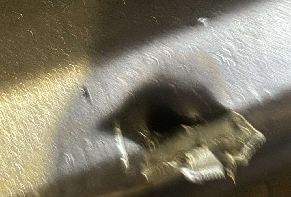 Nissan 1.5 dCi 2WD Visia