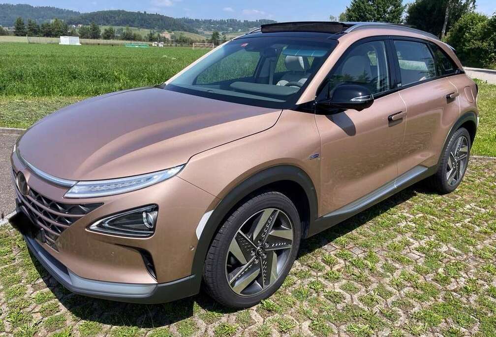 Hyundai Hydrogene 163 ch