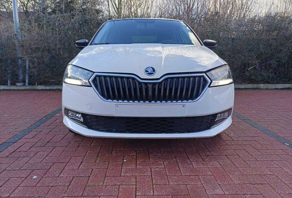 Skoda 1.0 TSI Monte Carlo DSG