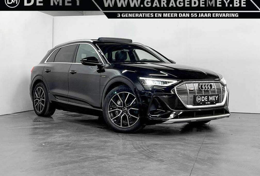 Audi S-Line 55 Quattro / Luchtvering / Pano / Leder / Camera