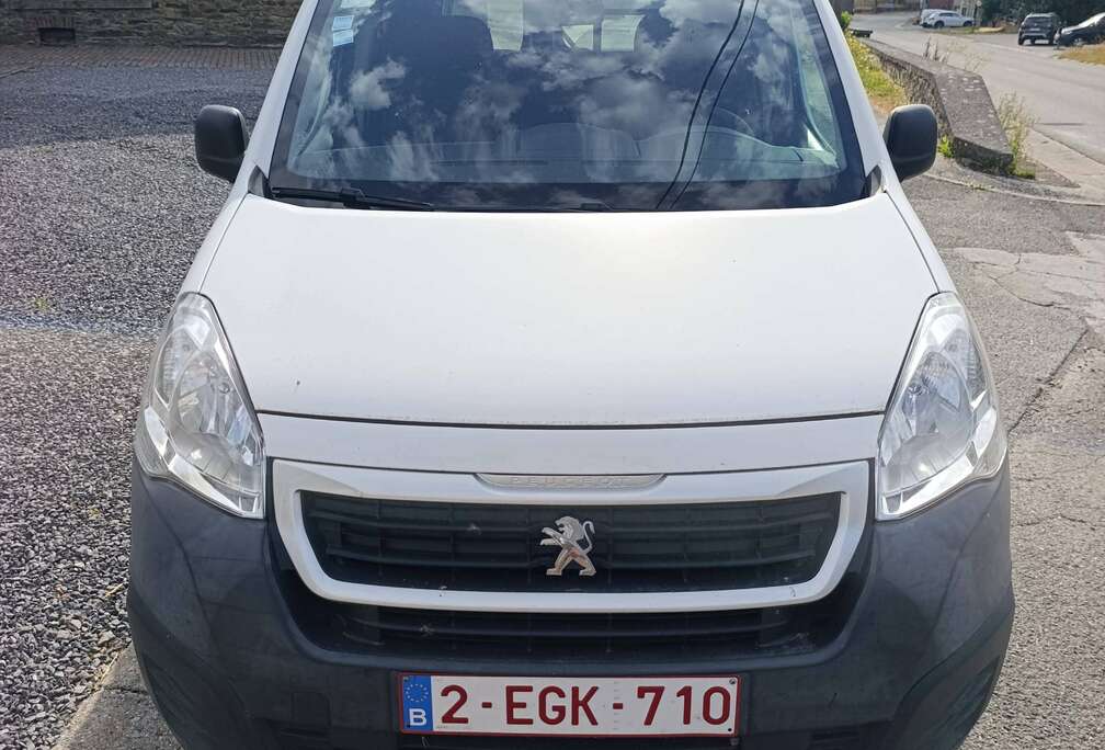 Peugeot 1.6 BlueHDi L1H1 Pro 120