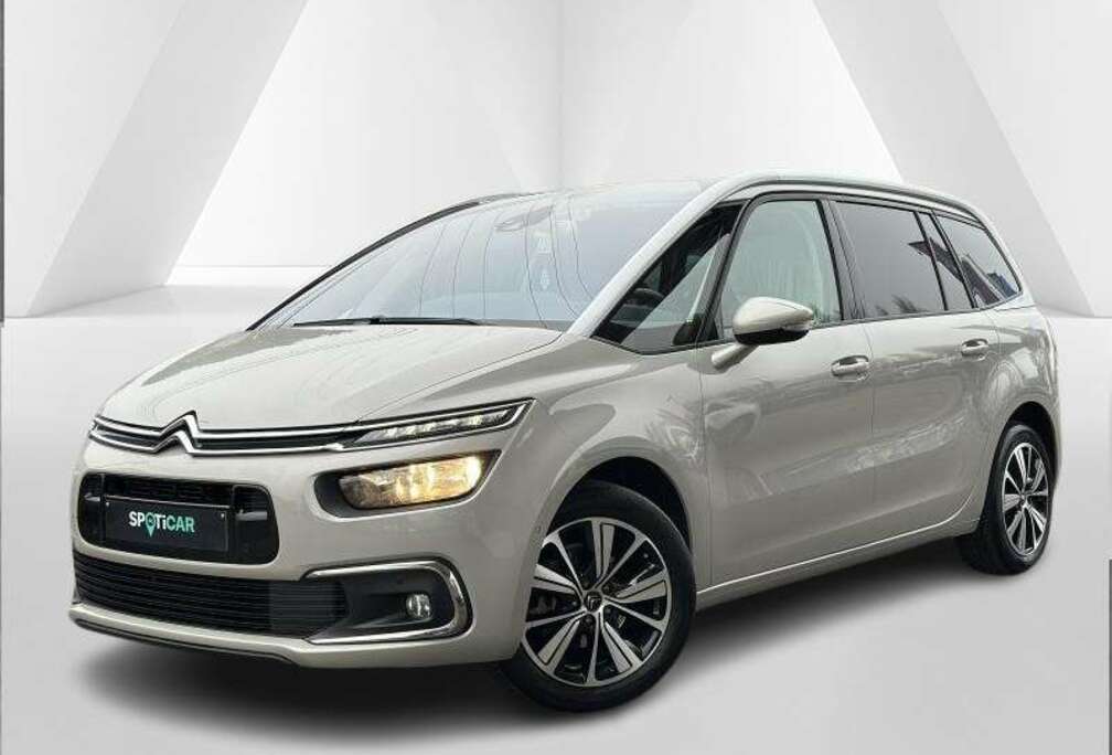 Citroen Shine 7 places + Hayon elect