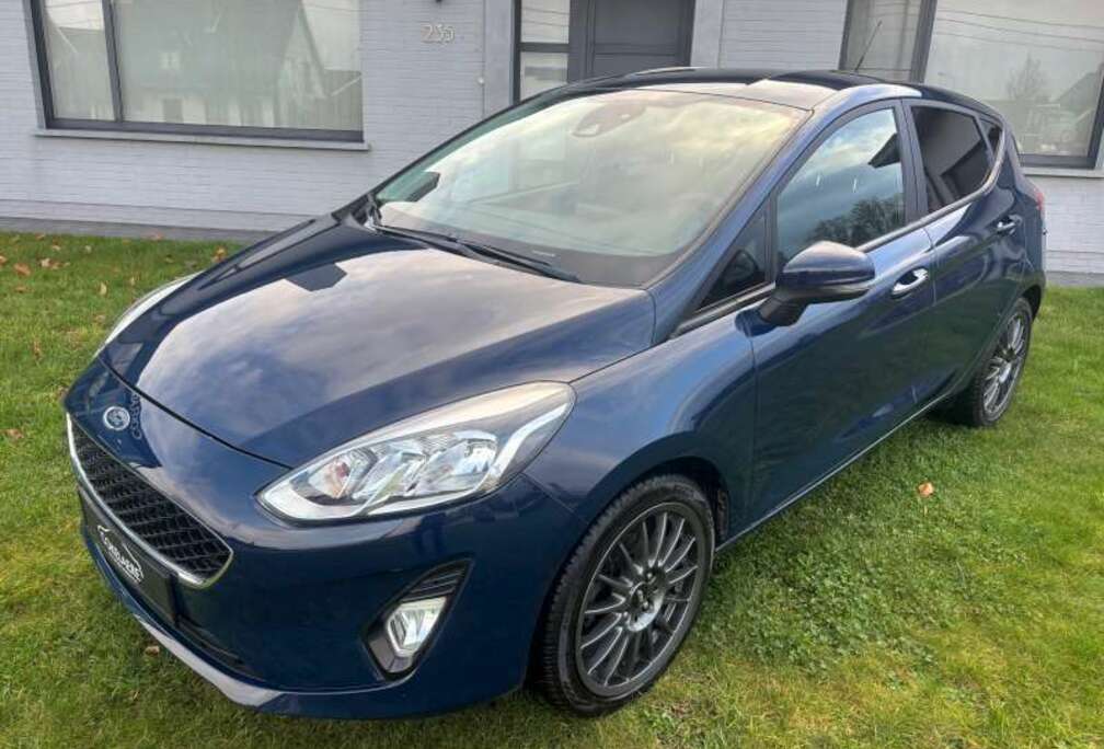 Ford 1.1i CarPlay/Parkeerhulp/VerwarmdeZetels/USB/17\