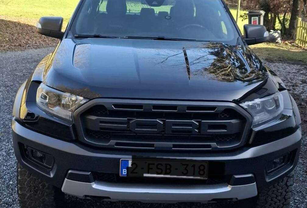 Ford 2.0 BiT EcoBlue Raptor (EU6.2)