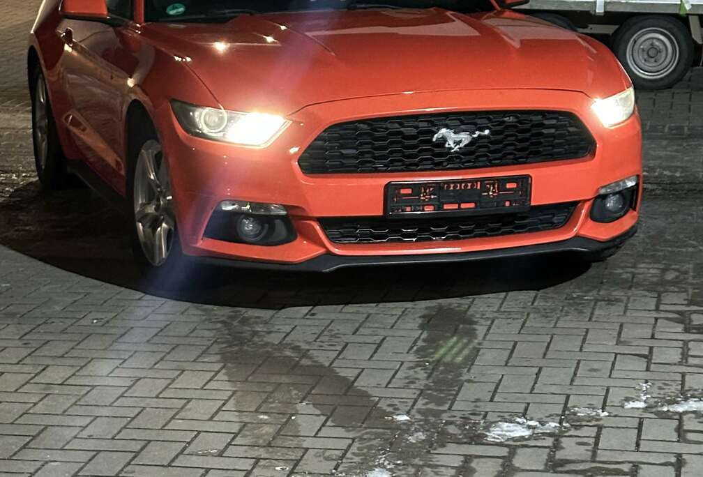 Ford 2.3 Eco Boost Aut.